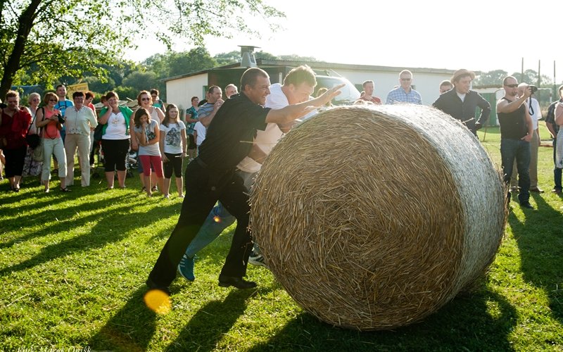 PIKNIK 2012 219